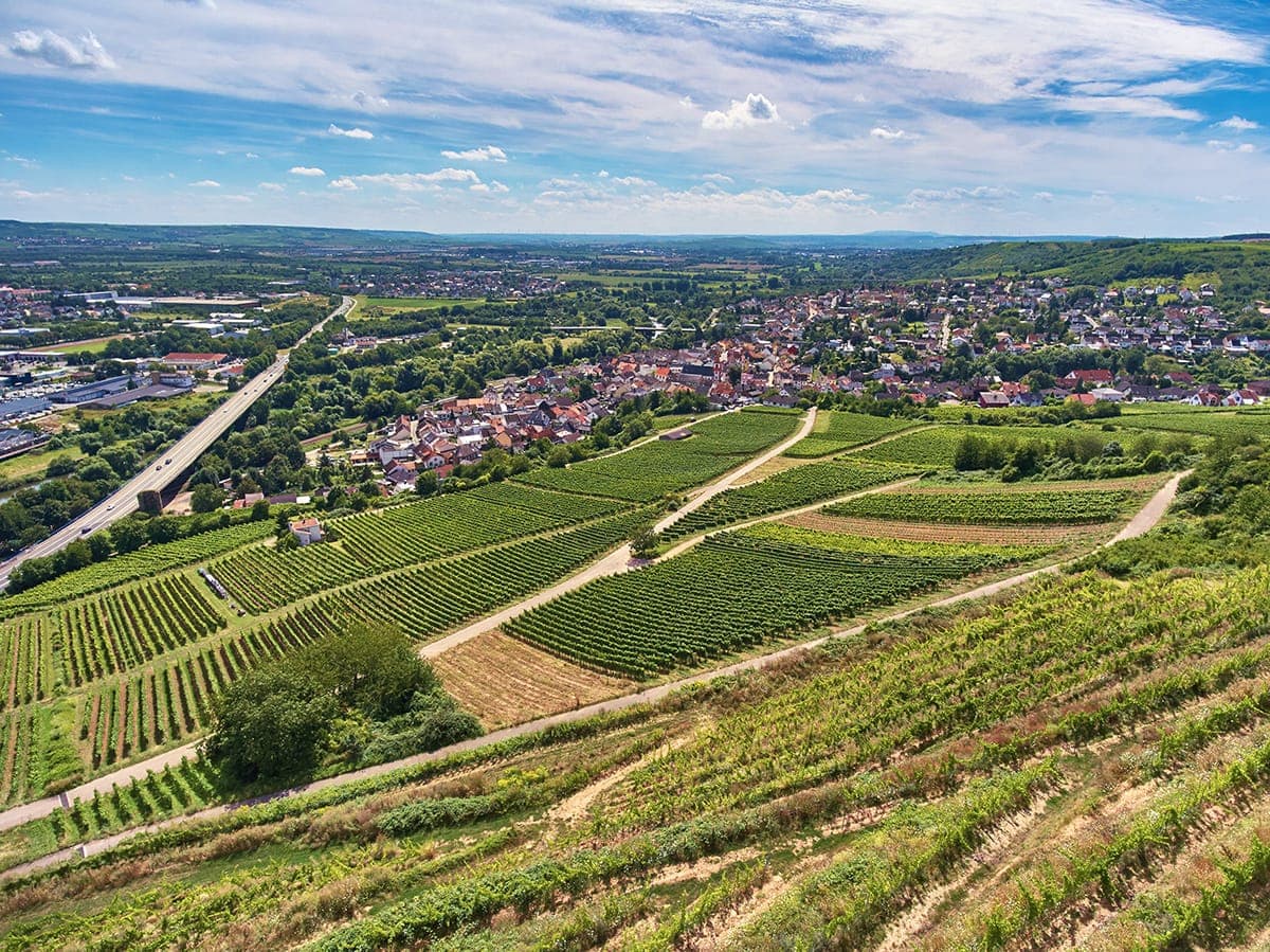 VDP.Erste Lage Münsterer Rheinberg